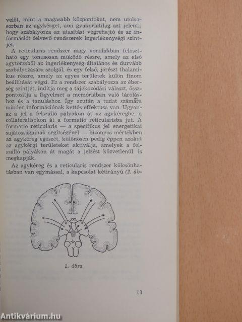 Az eszméletlen beteg