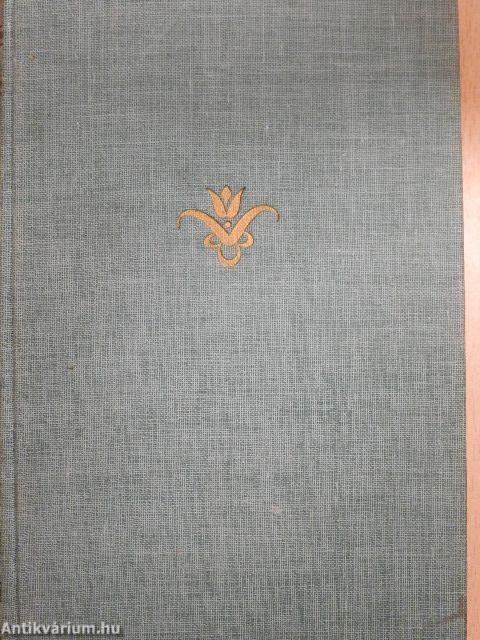 Az értelem keresése