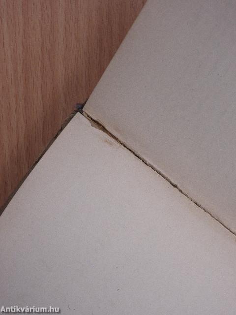 Aus der Praxis des Taylor-Systems