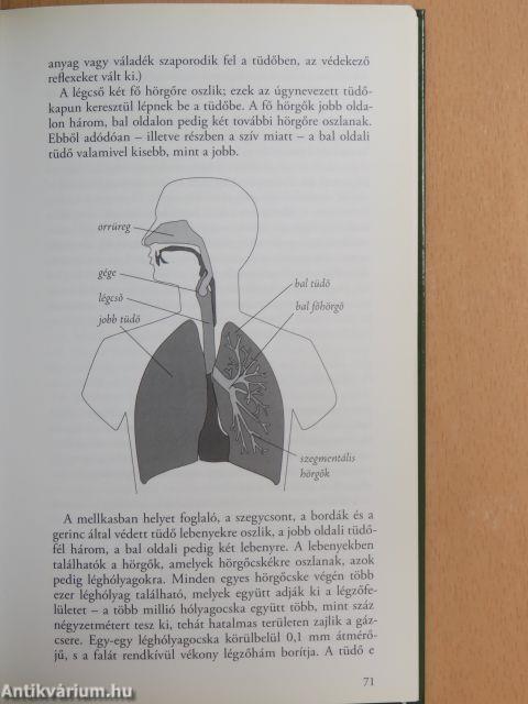 Népbetegségek megelőzése és szelíd gyógymódjai 3.