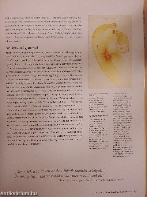 Utazók és kalandorok