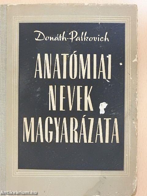 Anatómiai nevek magyarázata