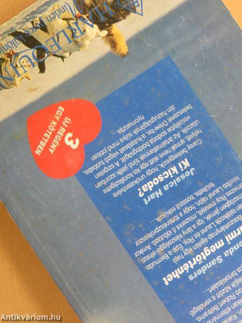 Sülve-főve/Itt bármi megtörténhet/Ki kicsoda?