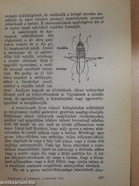 A természet aviatikusai