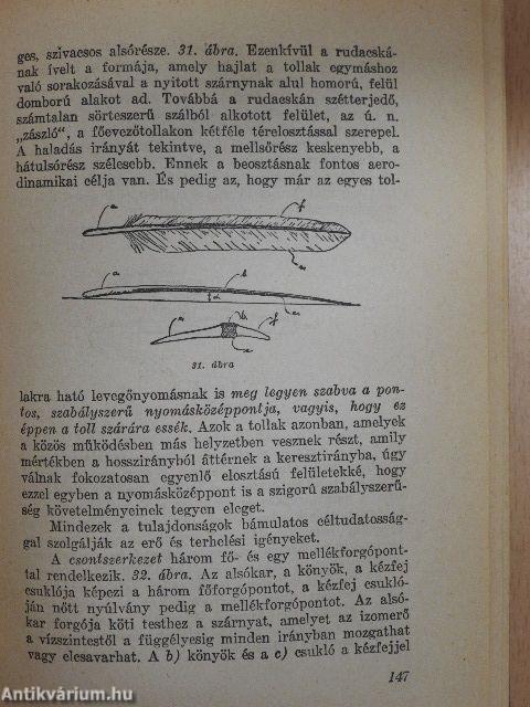 A természet aviatikusai