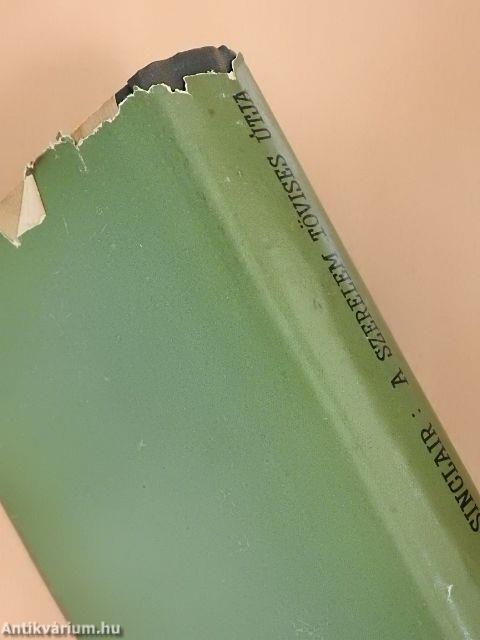 A szerelem tövises útja