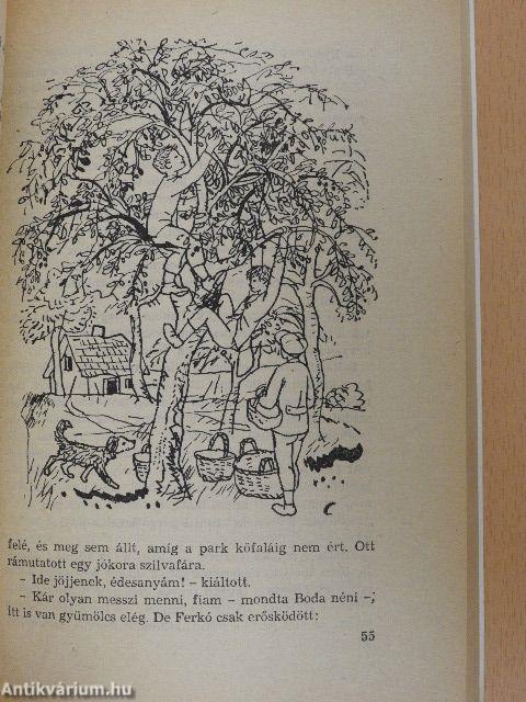 Puskák és galambok