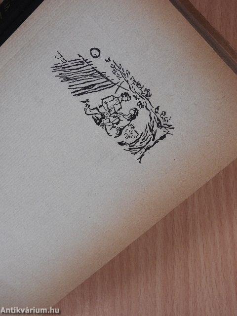 A szerelem tövises útja