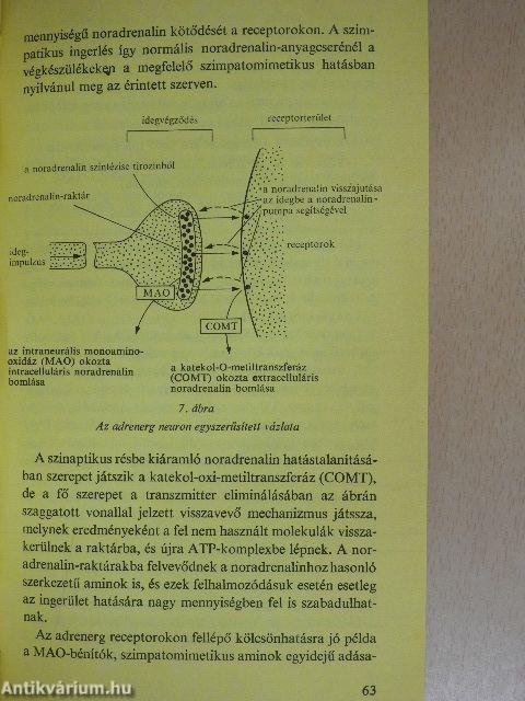 Gyógyszerkölcsönhatások