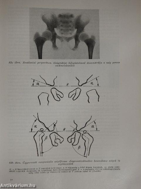 A radiologia alapvonalai