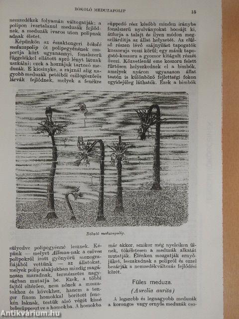 Brehm - Az állatok világa