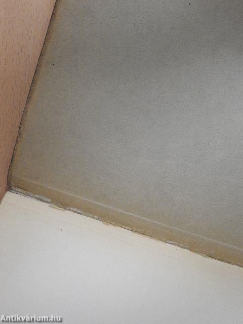 Szinyei emlékkönyv