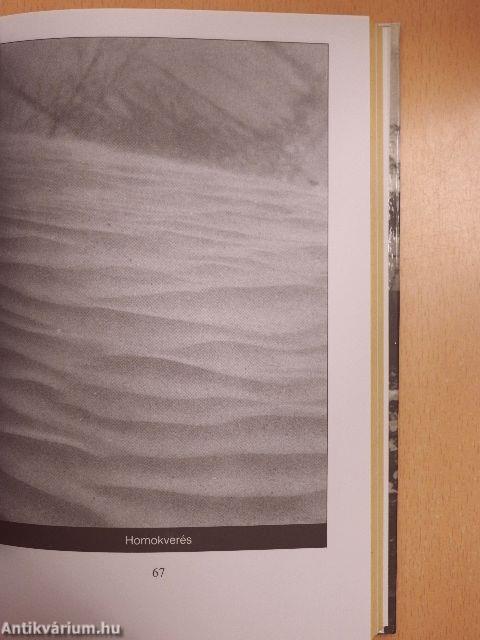 Európa hátsó udvara 2.