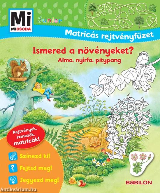 Mi MICSODA JUNIOR Matricás rejtvényfüzet - Ismered a növényeket?