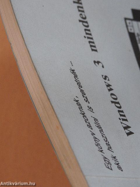 Windows 3 mindenkinek