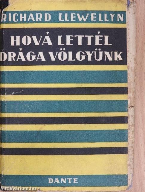 Hová lettél drága völgyünk?