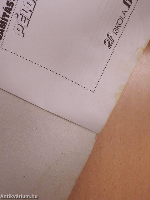 Számítástechnikai példatár