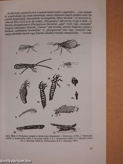 Tegzesek (dedikált példány)