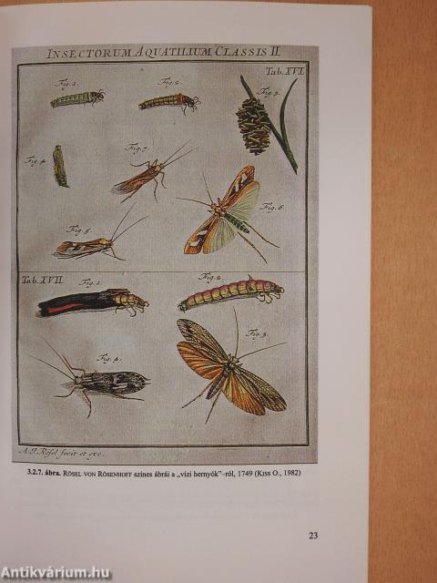 Tegzesek (dedikált példány)