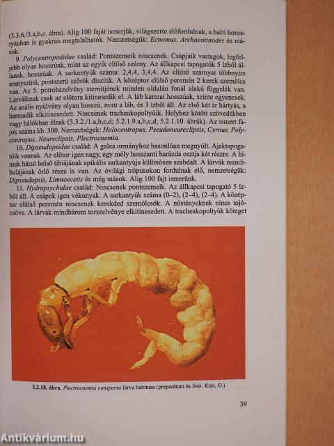 Tegzesek (dedikált példány)