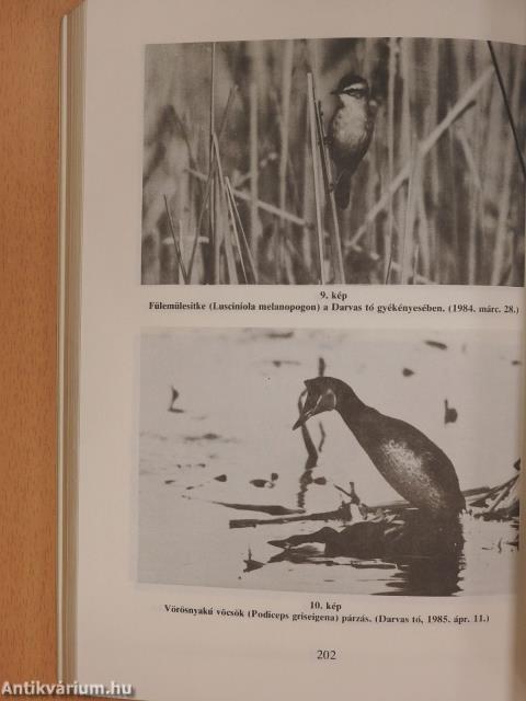 Tudományos kutatások a Hortobágyi Nemzeti Parkban 1976-1985 (dedikált példány)