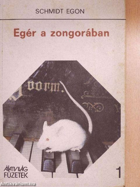 Egér a zongorában