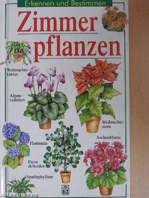 Zimmerpflanzen