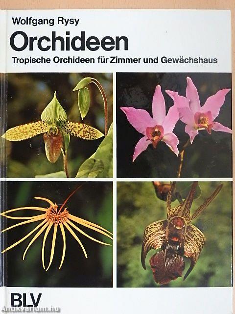 Orchideen