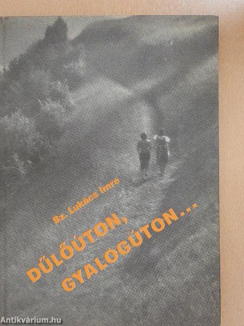 Dűlőúton, gyalogúton...