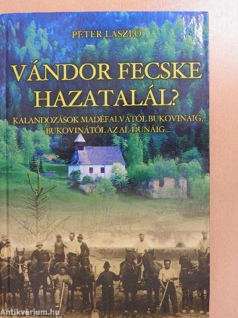 Vándor fecske hazatalál?