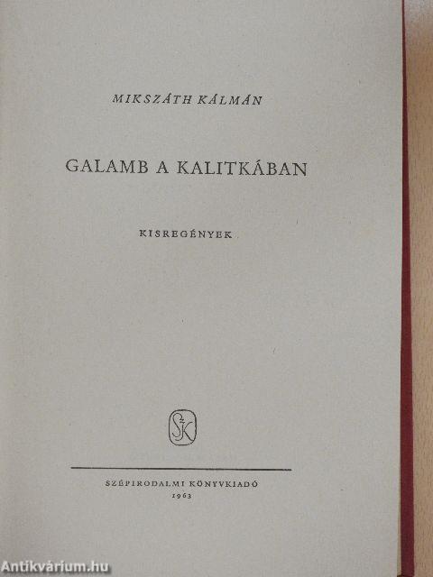 Galamb a kalitkában