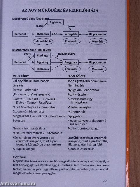 Valóság, spiritualitás és a modern ember