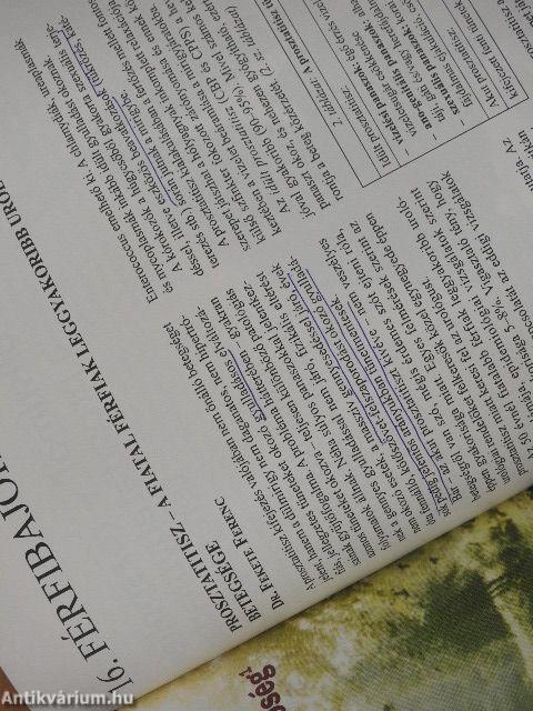 Családorvosok kézikönyve 2006