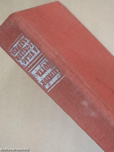 A világ legszebb asszonya