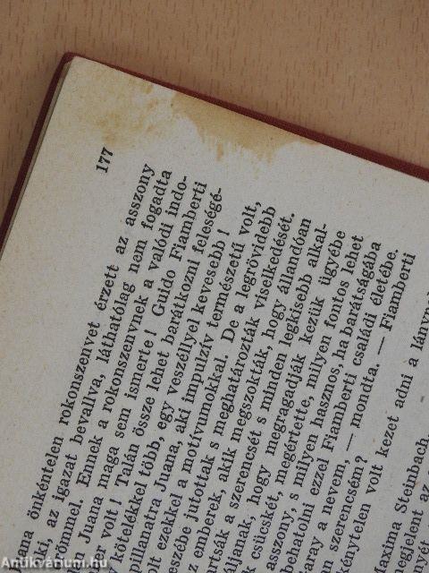 A világ legszebb asszonya