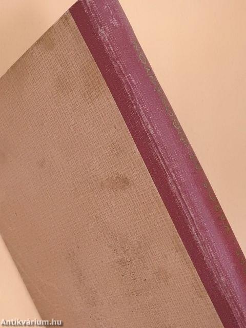 Város az ingoványon