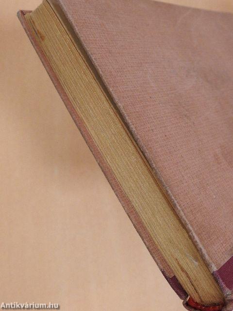 Város az ingoványon