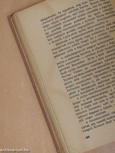 Város az ingoványon