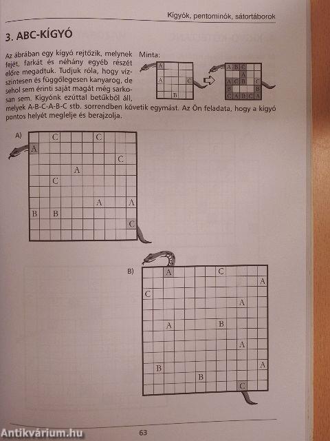 Vadonatúj logikai rejtvénycsodák