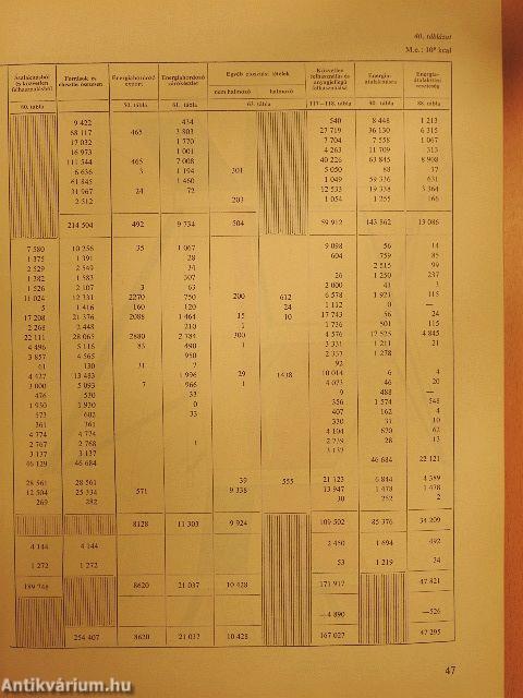 Energiagazdálkodási statisztikai évkönyv 1970