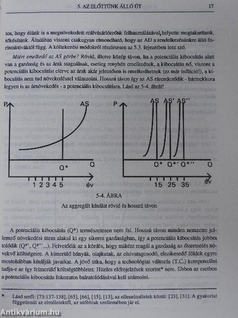 A vegyesgazdaság makroökonómiája és társadalmi következményei II.