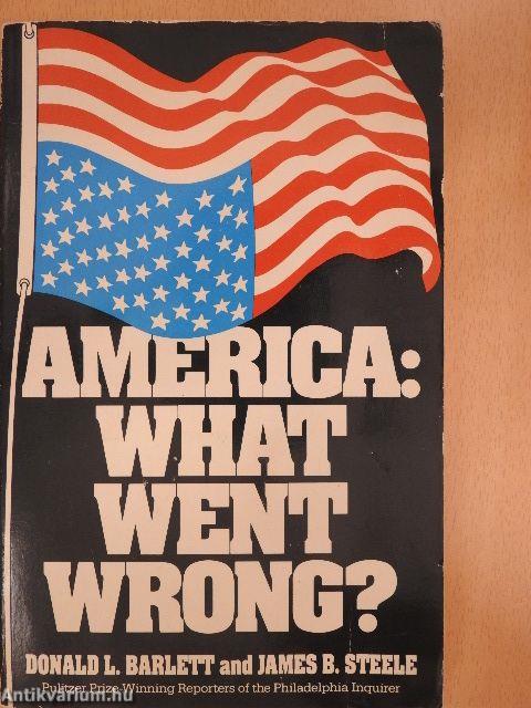 America: What went wrong?