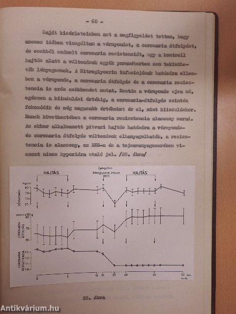 Az akut koszoruér-elégtelenség állatkísérletes modellje