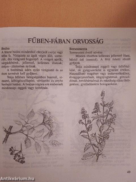 Hétszínvirág - Olvasókönyv 3. osztály számára