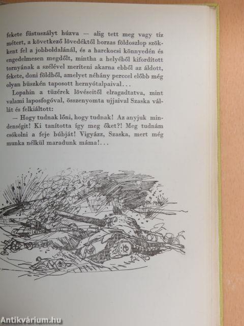 A hazáért harcoltak