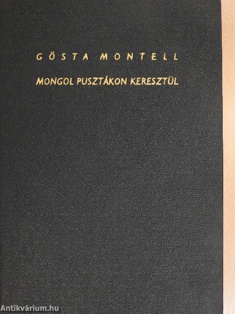 Mongol pusztákon keresztül