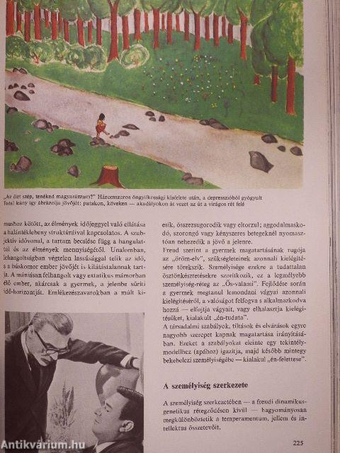 Minerva nagy képes enciklopédia 1-4.