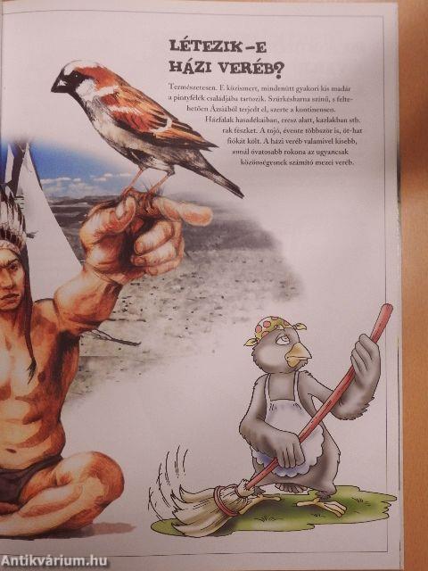 Ablak a világra - A madarak világa