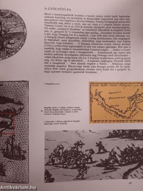 A vikingektől az űrhajósokig