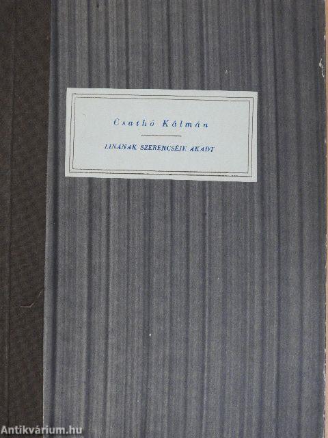 Linának szerencséje akadt